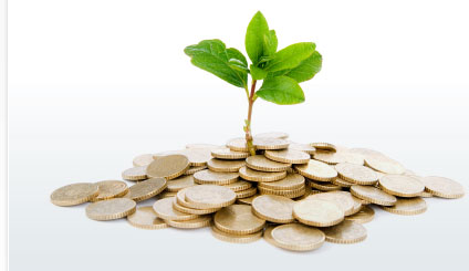 Accounting & Bookkeeping